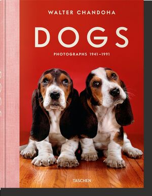 WALTER CHANDOHA. DOGS. PHOTOGRAPHS 1941–1991