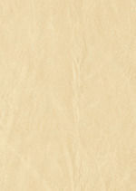 LOS PROCESOS CIVILES ESPECIALES DE FAMILIA