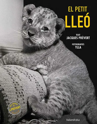 El Petit Lleó