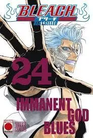 Bleach Bestseller, 24