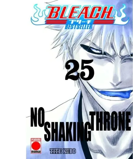 Bleach Bestseller 25