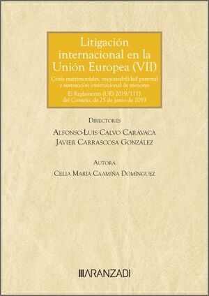 LITIGACIÓN INTERNACIONAL EN LA UNIÓN EUROPEA (VII)