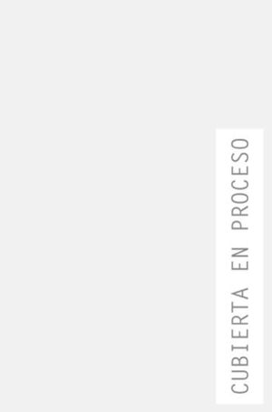 EL PEQUEÑO LIBRO DEL BIG BANG