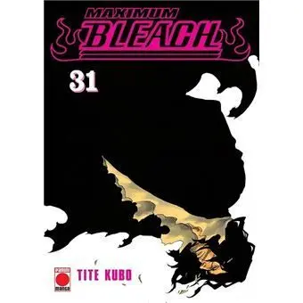 Maximum Bleach 31