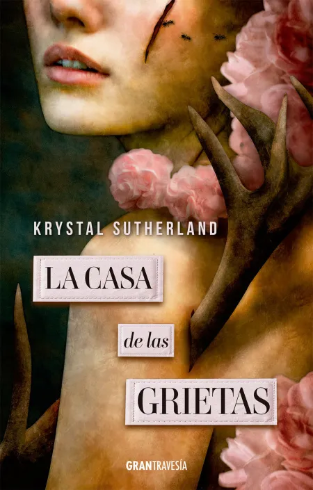 La Casa de las Grietas