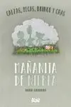 Mañanita de Niebla