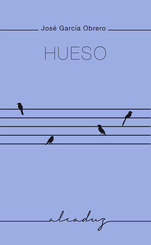 HUESO