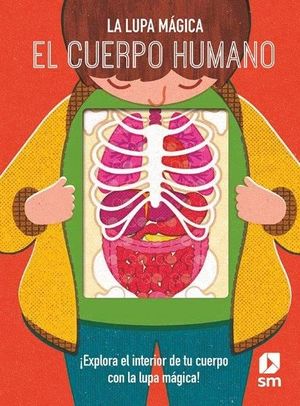 CUERPO HUMANO, EL