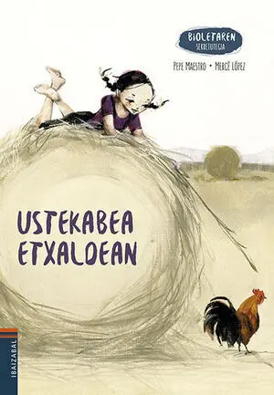 (Eus). Ustekabea Etxaldean