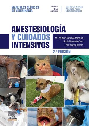 ANESTESIOLOGIA Y CUIDADOS INTENSIVOS 2ª ED