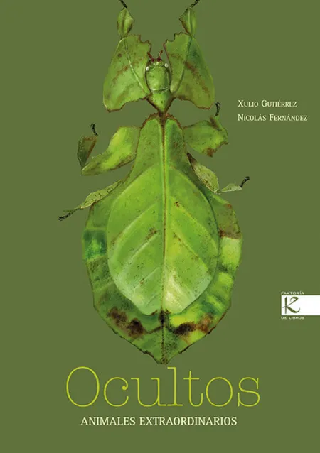 Ocultos. Animales Extraordinarios