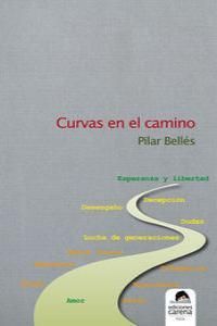 CURVAS EN EL CAMINO