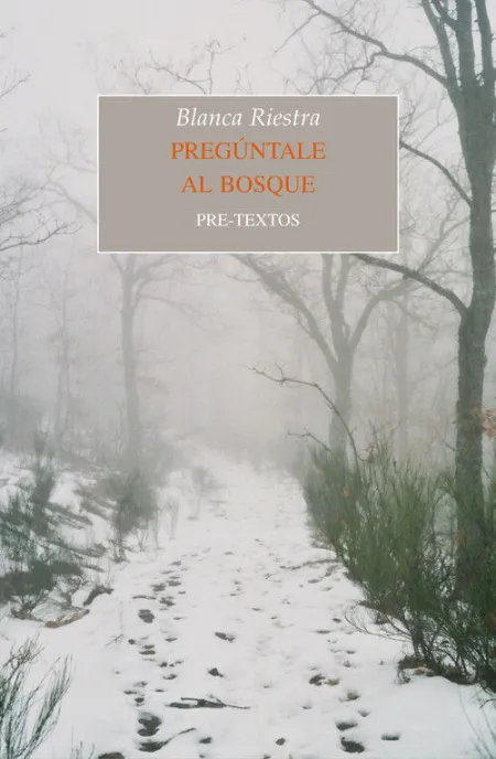 Pregúntale Al Bosque