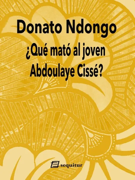 ¿Qué Mató Al Joven Abdoulayé Cissé?
