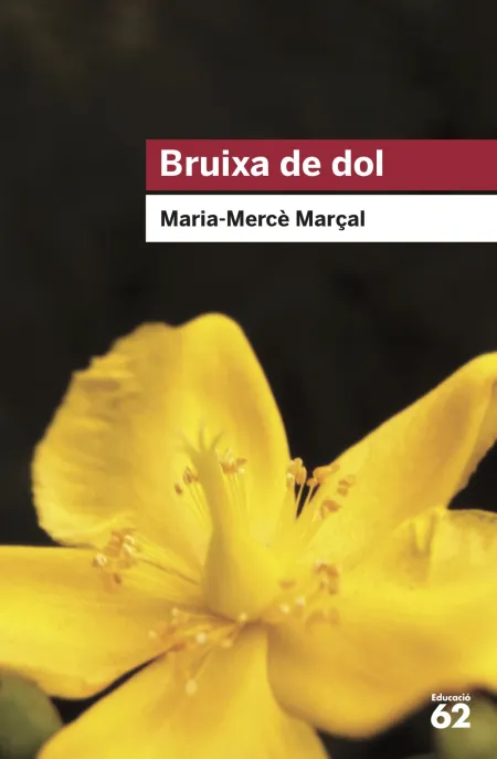 Bruixa de Dol (1977-1979)