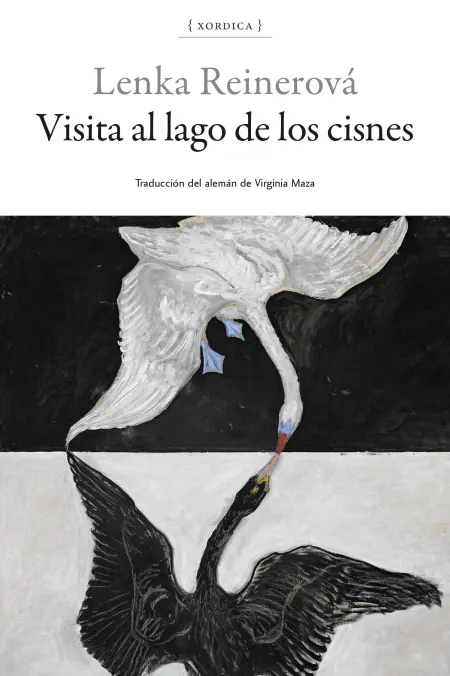 Visita Al Lago de los Cisnes