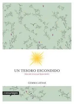 Un Tesoro Escondido