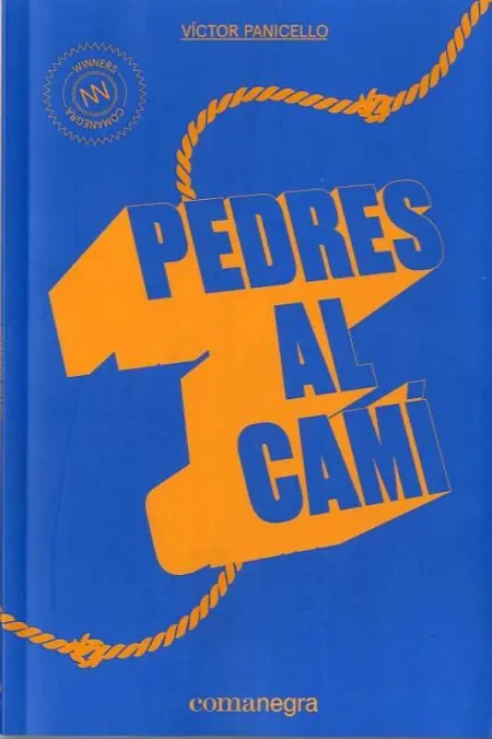 Pedres Al Camí
