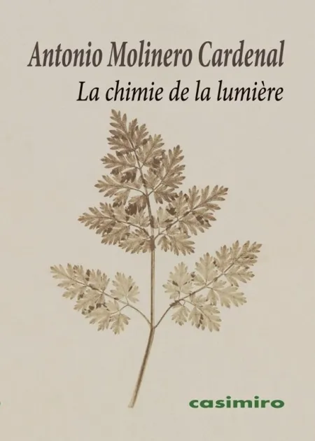 La Chimie de la Lumière