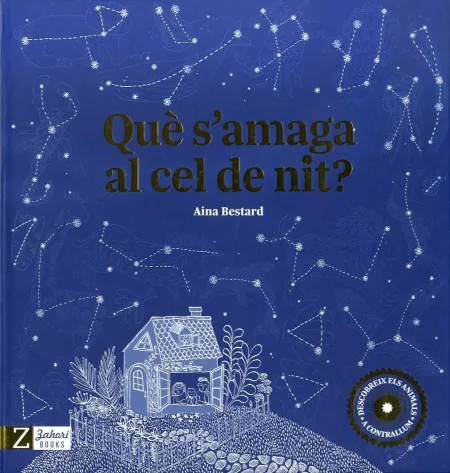 Què S'amaga Al Cel de Nit