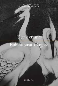 Ocells Errants