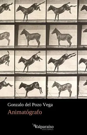 Animatografo