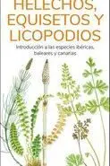 Helechos, Equisetos y Licopodios - Guias Desplegables Tundra