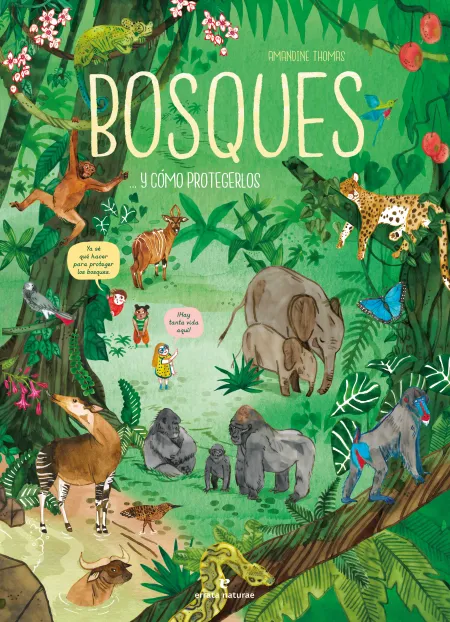Bosques... Y Cómo Protegerlos