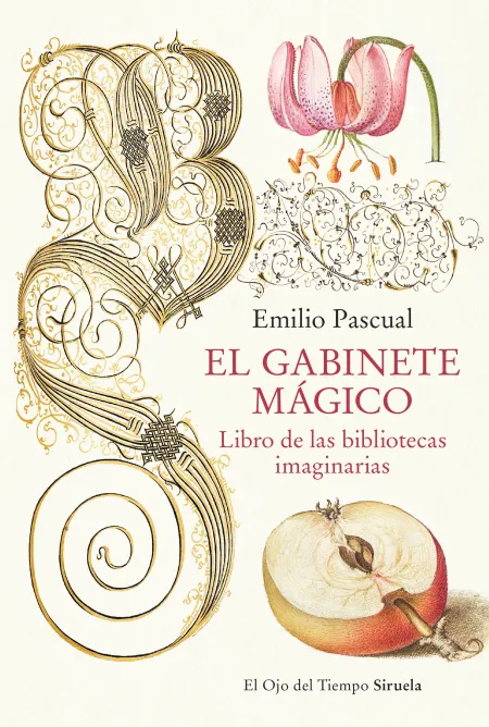 Gabinete Magico:libro de las Bibliotecas Imaginarias
