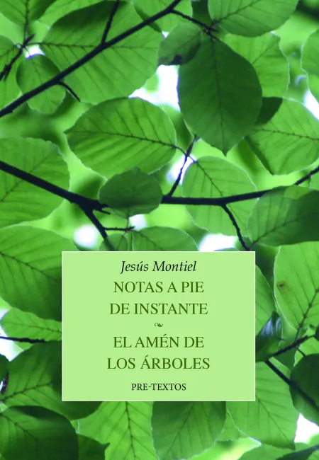Notas a Pie de Instante / el Amén de los Árboles