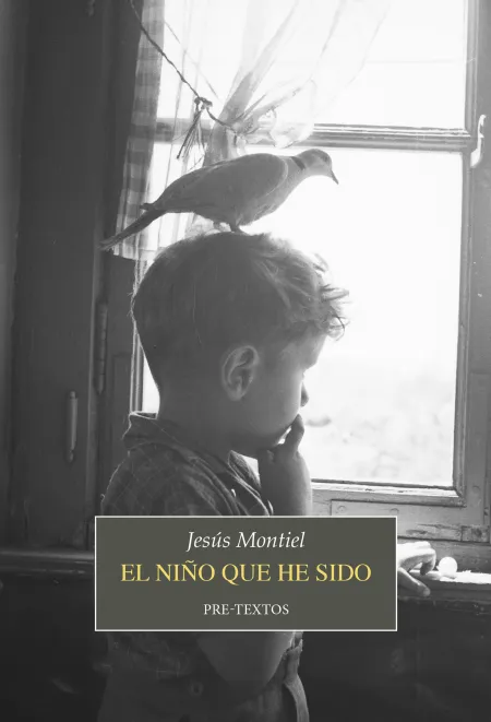 El Niño que He Sido