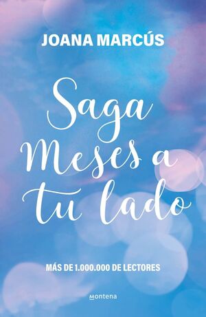 SAGA MESES A TU LADO (ESTUCHE CON: ANTES DE DICIEMBRE  DESPUÉS DE DICIEMBRE  T