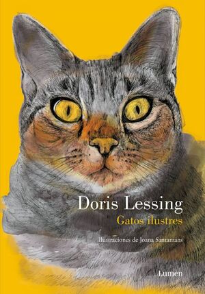 GATOS ILUSTRES