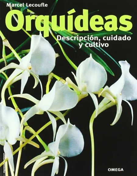 Orquideas, Descripcion