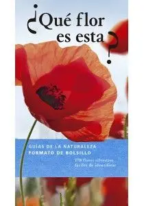 ¿Qué Flor Es Esta?