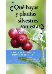¿ QUÉ BAYAS Y PLANTAS SILVESTRES SON ESTAS ?