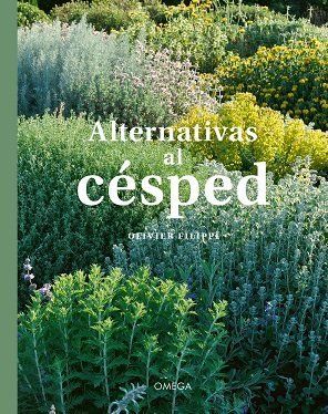 ALTERNATIVAS AL CESPED