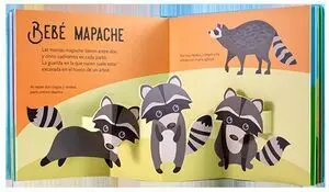 Bebés Animales