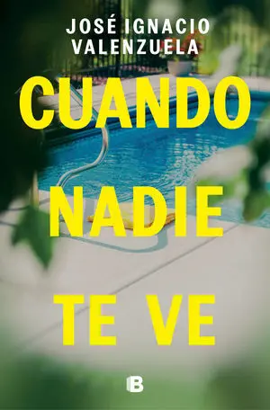 Cuando Nadie te Ve. (La Trama)