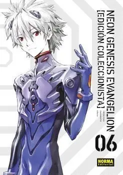 Neon Genesis Evangelion, 6 Ed. Coleccionista