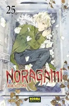 16. Noragami. (Comic Manga)