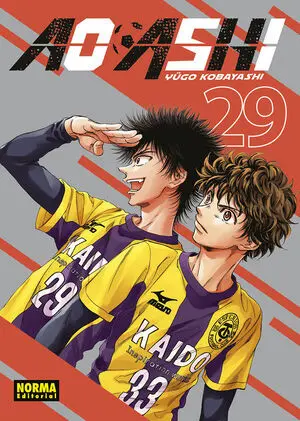 Ao Ashi, 29