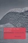 LEYENDO EN LAS PIEDRAS