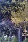 A la Sombra de Eneas