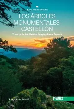 Árboles Monumentales de Castellón, los