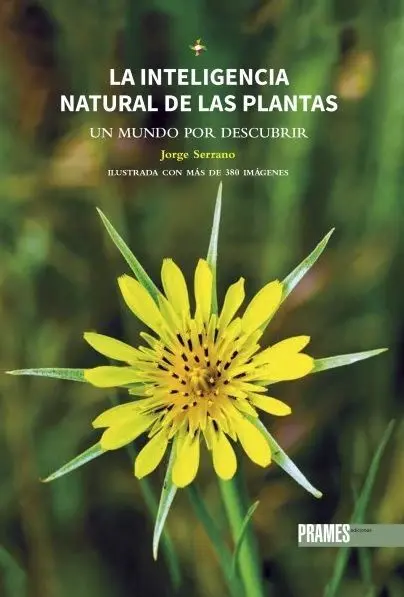 Inteligencia Natural de las Plantas, la. Un Mundo por Descub