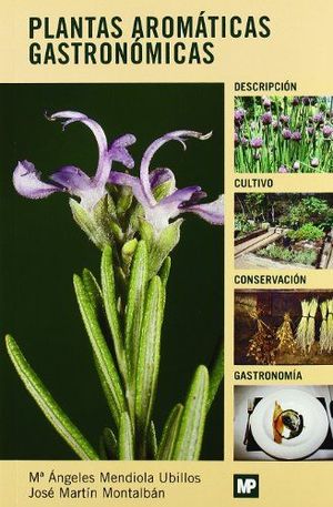 PLANTAS AROMATICAS GASTRONOMICAS