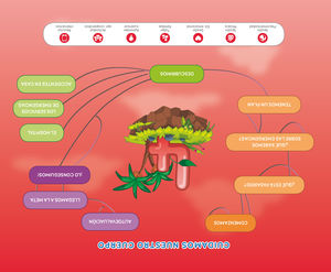 4 AÑOS EMERGENCIAS 112-EX 18