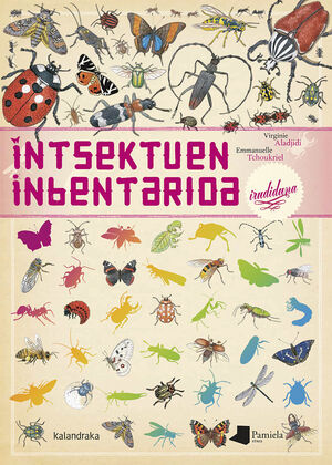 INSEKTUEN INBENTARIOA IRUDIDUNA