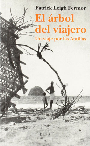 ARBOL DEL VIAJERO